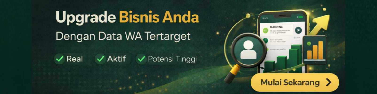 Upgrade Bisnis
